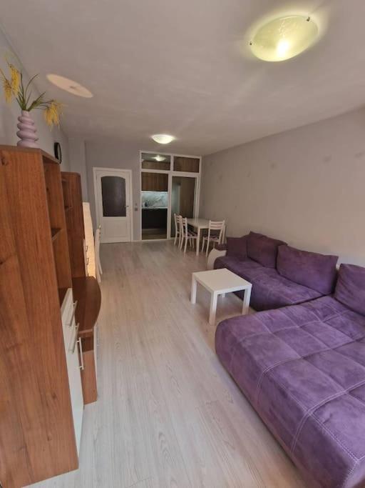 Cozy Central Apartment In Outskirts Of Old 索菲亞 外观 照片